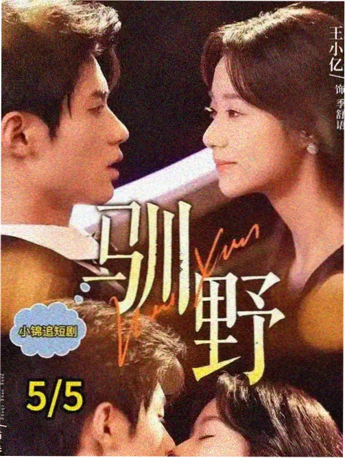 夜班电台都市剧集海报索引图